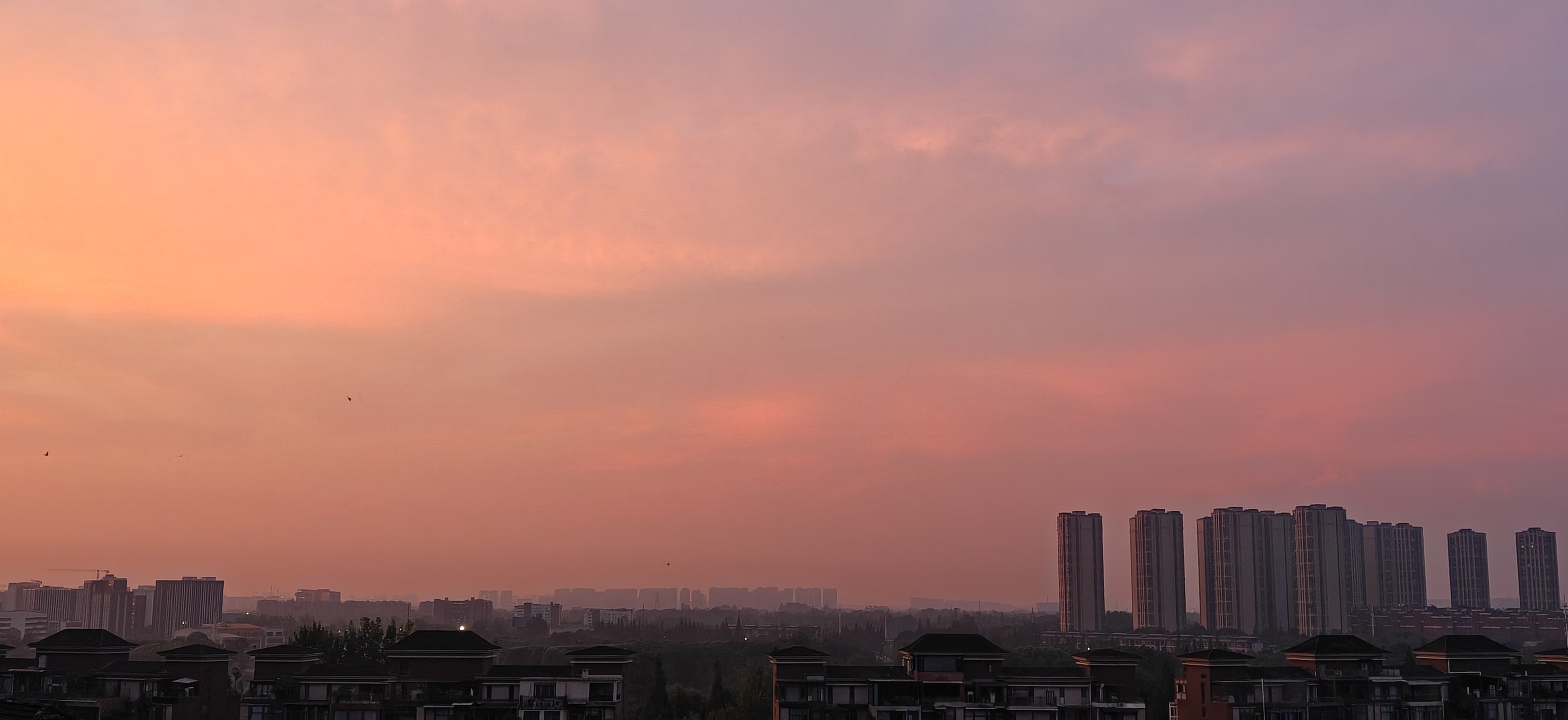 IMG20260823062536